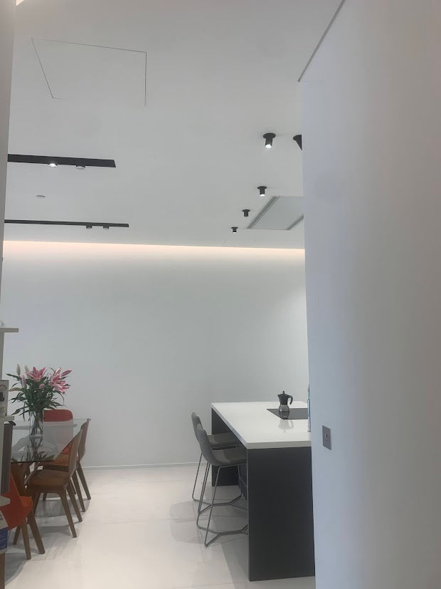 Palm Jumeirah Dubai Flat Renovation