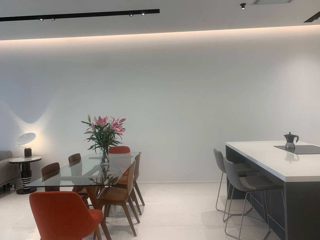 Palm Jumeirah Dubai Flat Renovation