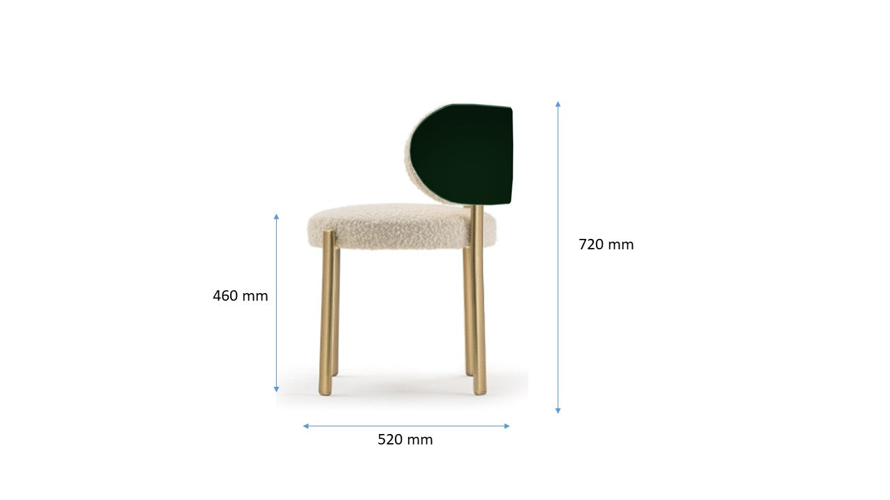 Dining Chair - Model 1
