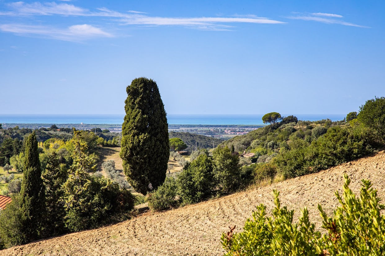 Villa in Tuscany Italy